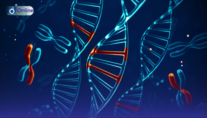 Lesson 14: Defining Genome Analysis, Genome Map, and Genetic Markers